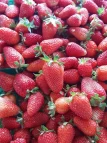 frutillas-liofilizadas-dulcesalud-2